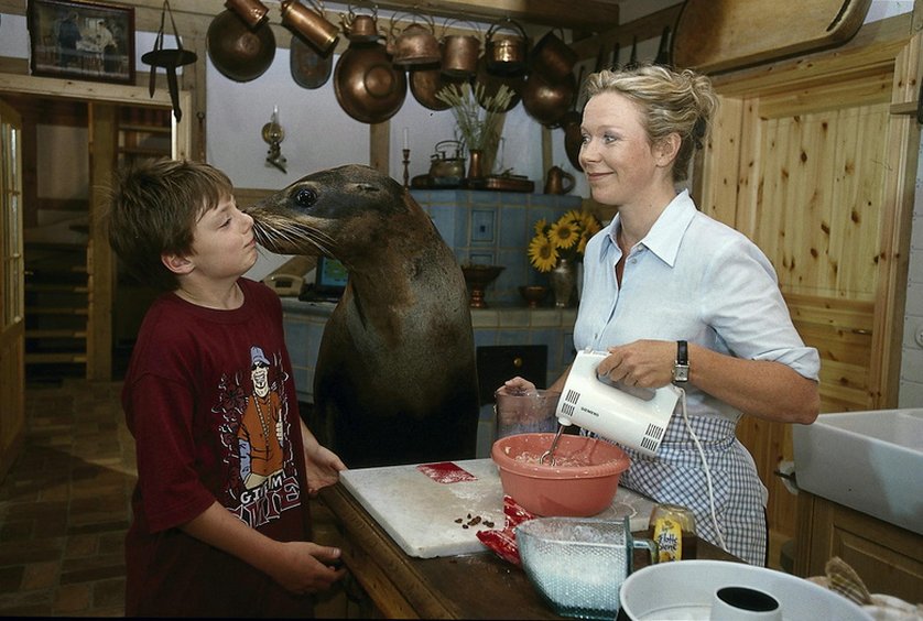 Hallo Robbie! - Staffel 1: DVD oder Blu-ray leihen - VIDEOBUSTER.de