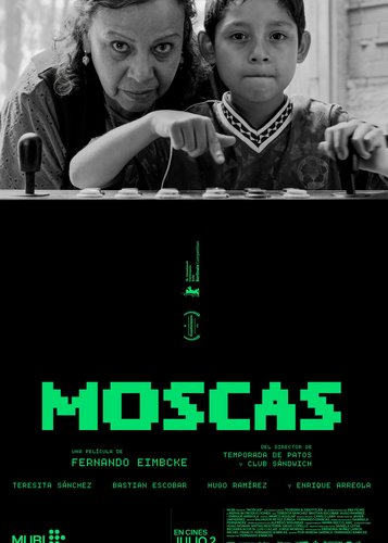 Moscas - Poster 1