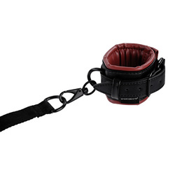 Saffron Under The Bed Restraint System