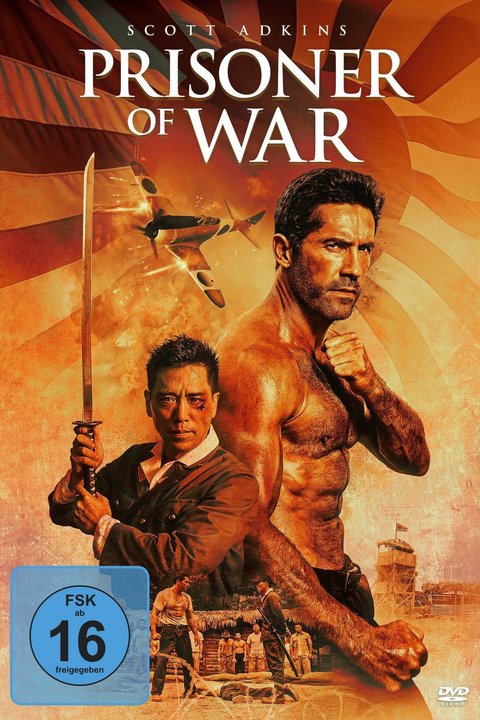 Prisoner of War (DVD)