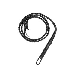 Twisted Whip