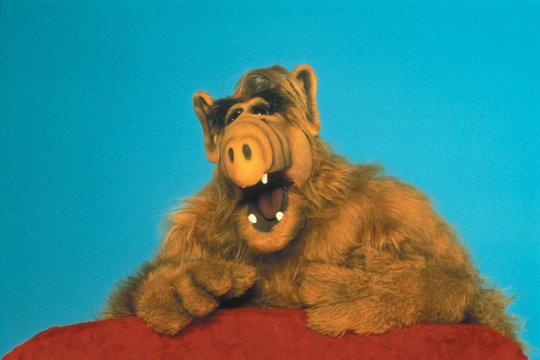 Alf - Staffel 1 - Szenenbild 3