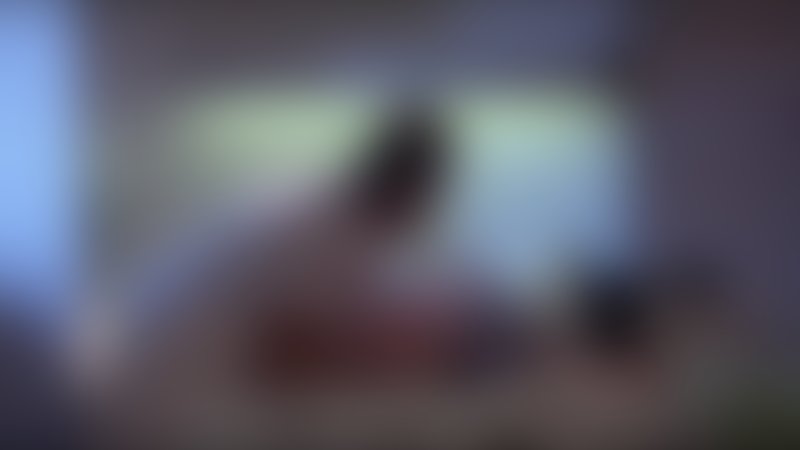 Death Wish 5 - Trailer - Englisch - SD