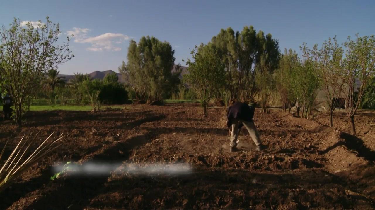 Desert Inspiration - Trailer - Deutsch - HD