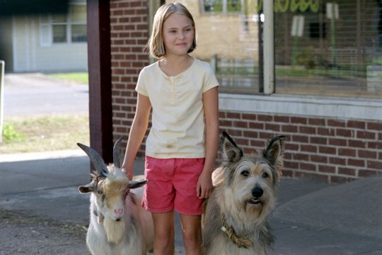 Winn-Dixie - Mein zotteliger Freund - Szenenbild 4