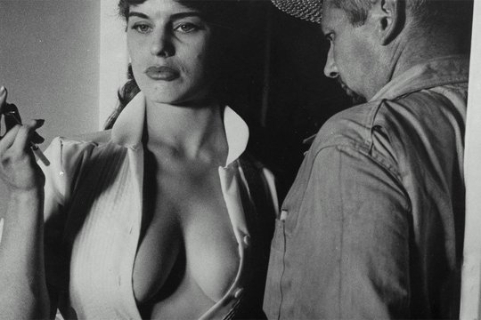 Der unmoralische Mr. Teas - Szenenbild 2