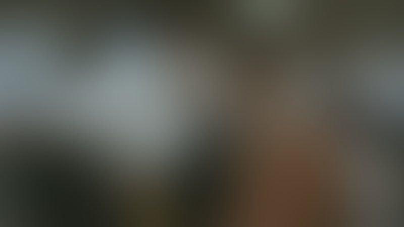 The Prophet - Trailer - Englisch - SD