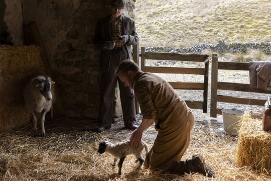 Der Doktor und das liebe Vieh - Staffel 4 - Szenenbild 6