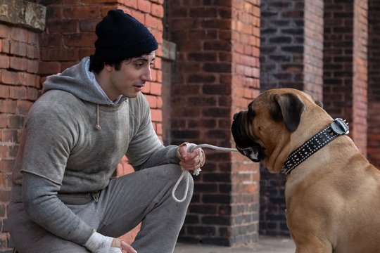 I Play Rocky - Szenenbild 3