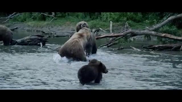 Im Land der Bären - Trailer - Deutsch - SD
