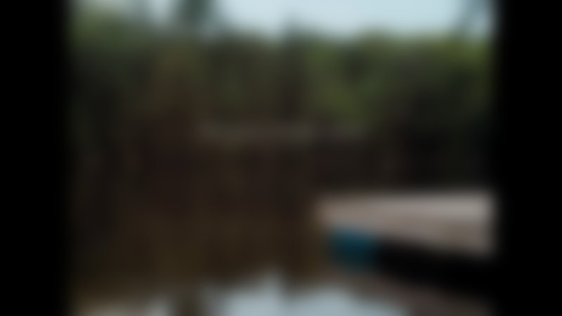 In a Violent Nature - Teaser - Englisch - HD