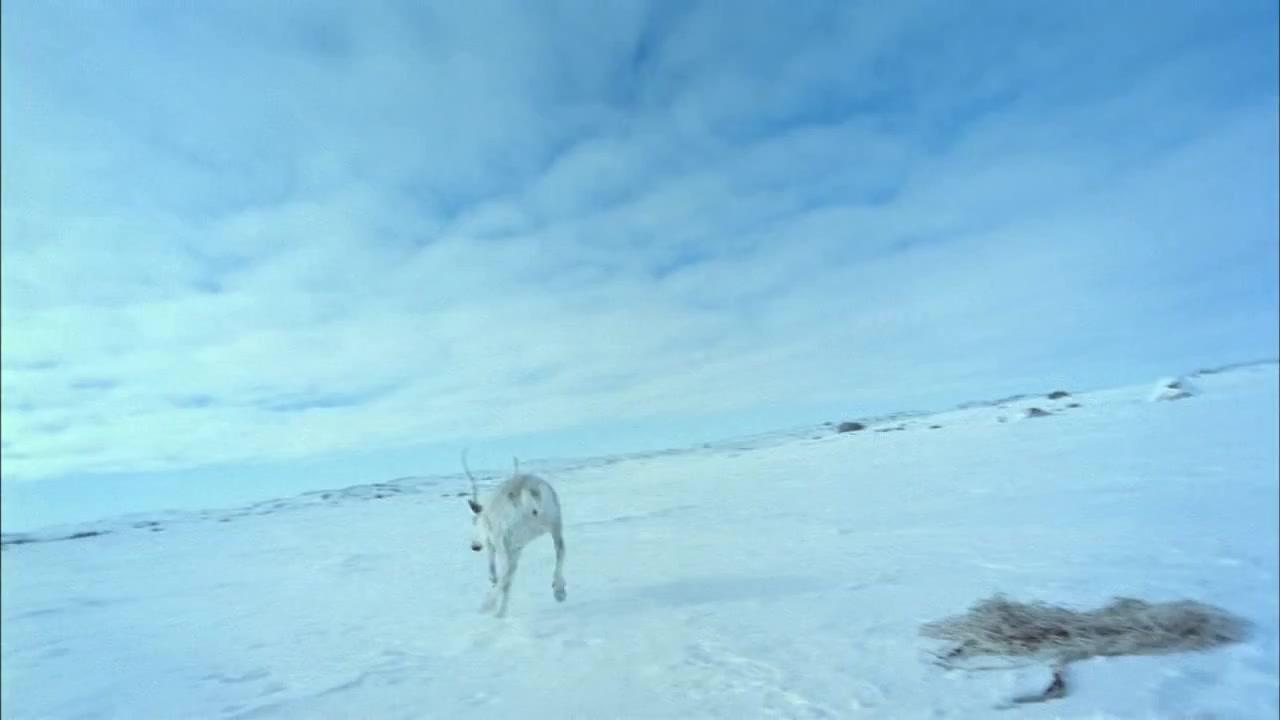 IMAX - Great North - Trailer - Deutsch - HD