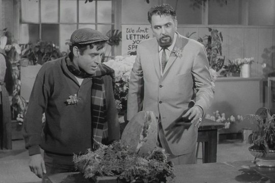 The Little Shop of Horrors - Kleiner Laden voller Schrecken - Szenenbild 2
