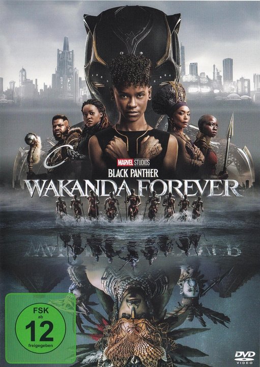 Black Panther 2 - Wakanda Forever (DVD), gebraucht