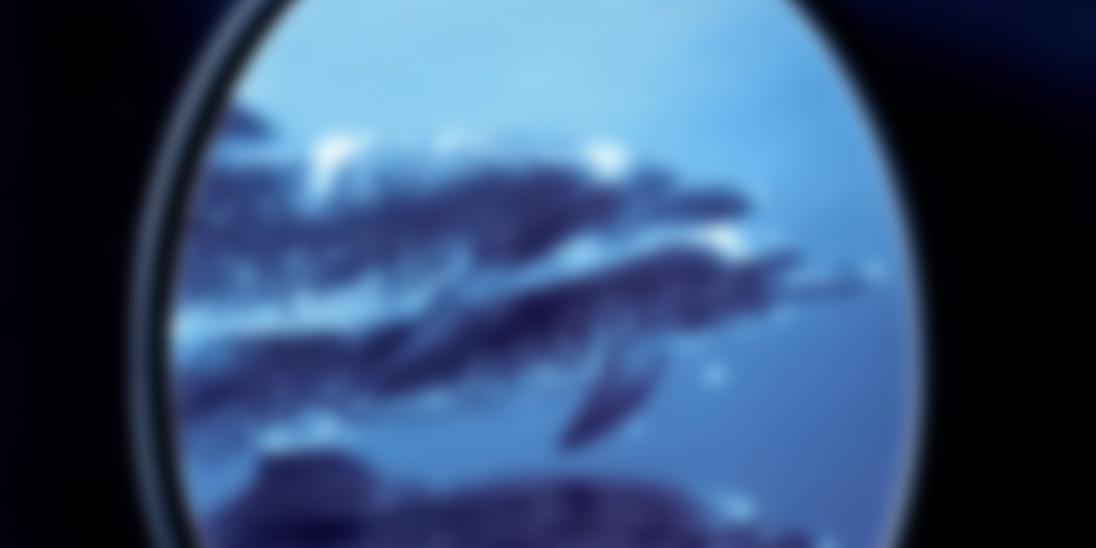 Faszinierende Tierwelten - Delphine