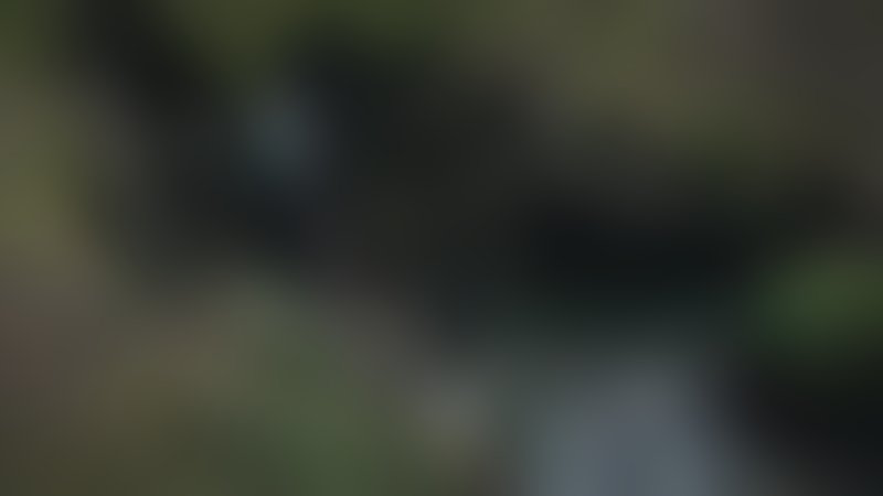 Schlitter - Trailer - Deutsch - SD