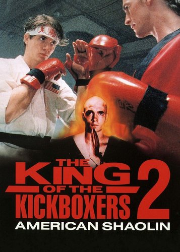 Karate Tiger 5 - American Shaolin - Poster 3