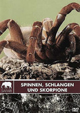 Safari - Spinnen, Schlangen und Skorpione