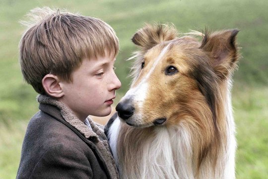 Lassie kehrt zurück - Szenenbild 6