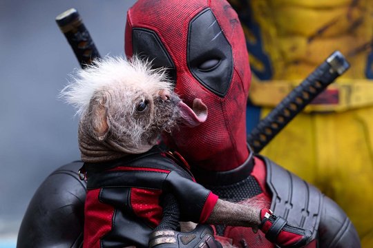 Deadpool 3 - Deadpool & Wolverine - Szenenbild 5