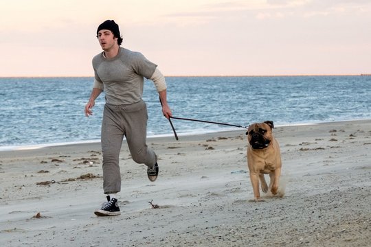 I Play Rocky - Szenenbild 2
