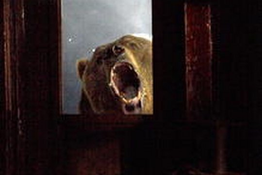 Grizzly Rage - Szenenbild 5