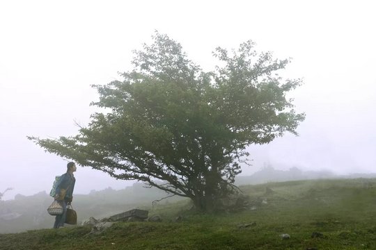 Der Baum der Helden - Szenenbild 1
