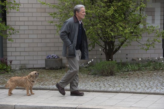 Ein fast perfekter Antrag - Szenenbild 10