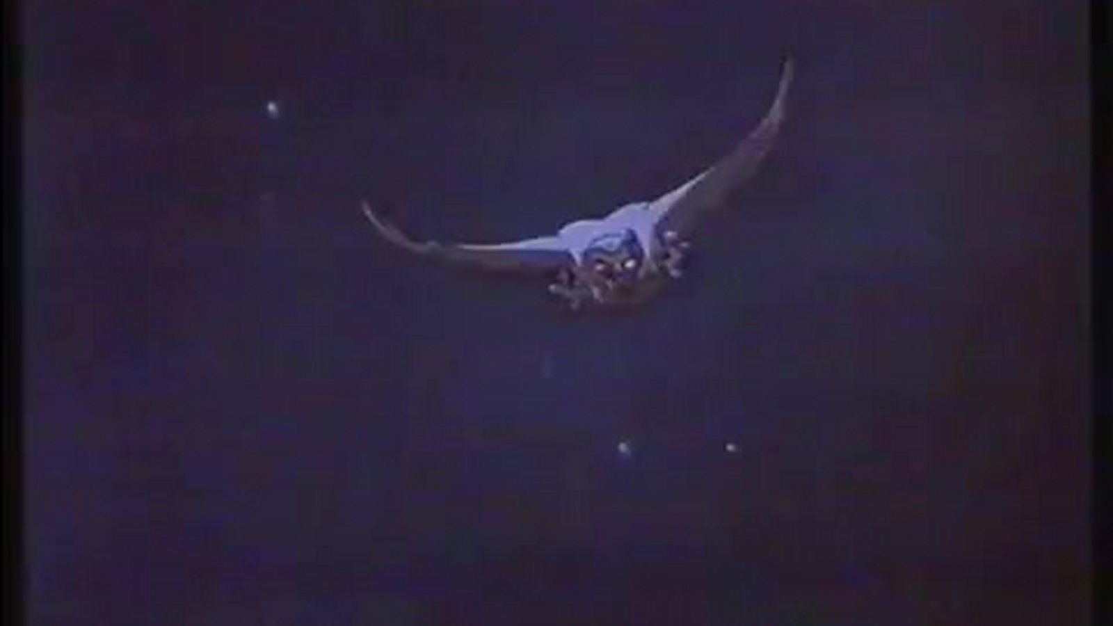 Meister Dachs und seine Freunde Bluray, 4K UHD, DVD leihen VIDEOBUSTER