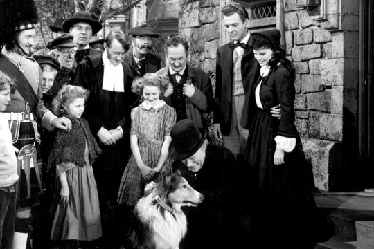 Lassie in Not - Szenenbild 2
