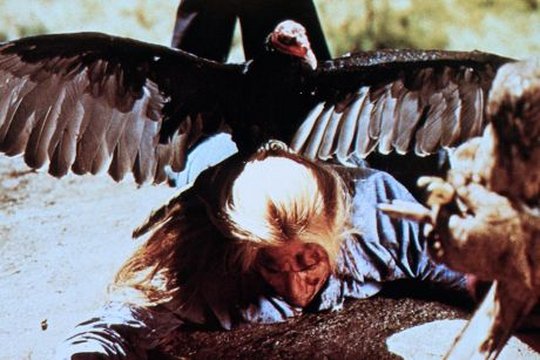 Day of the Animals - Panik in der Sierra Nova - Szenenbild 1