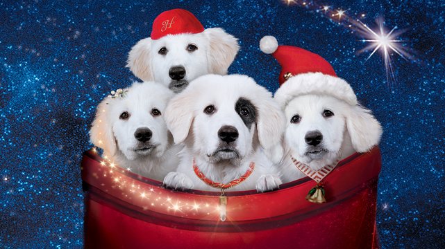 Santa Pfote 2 - Die Weihnachts-Welpen - Wallpaper 1