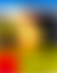 L*e C*p - F*n im L*r (*y D*)