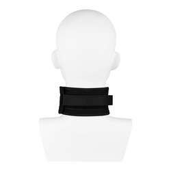 Breites Halsband mit Leine
