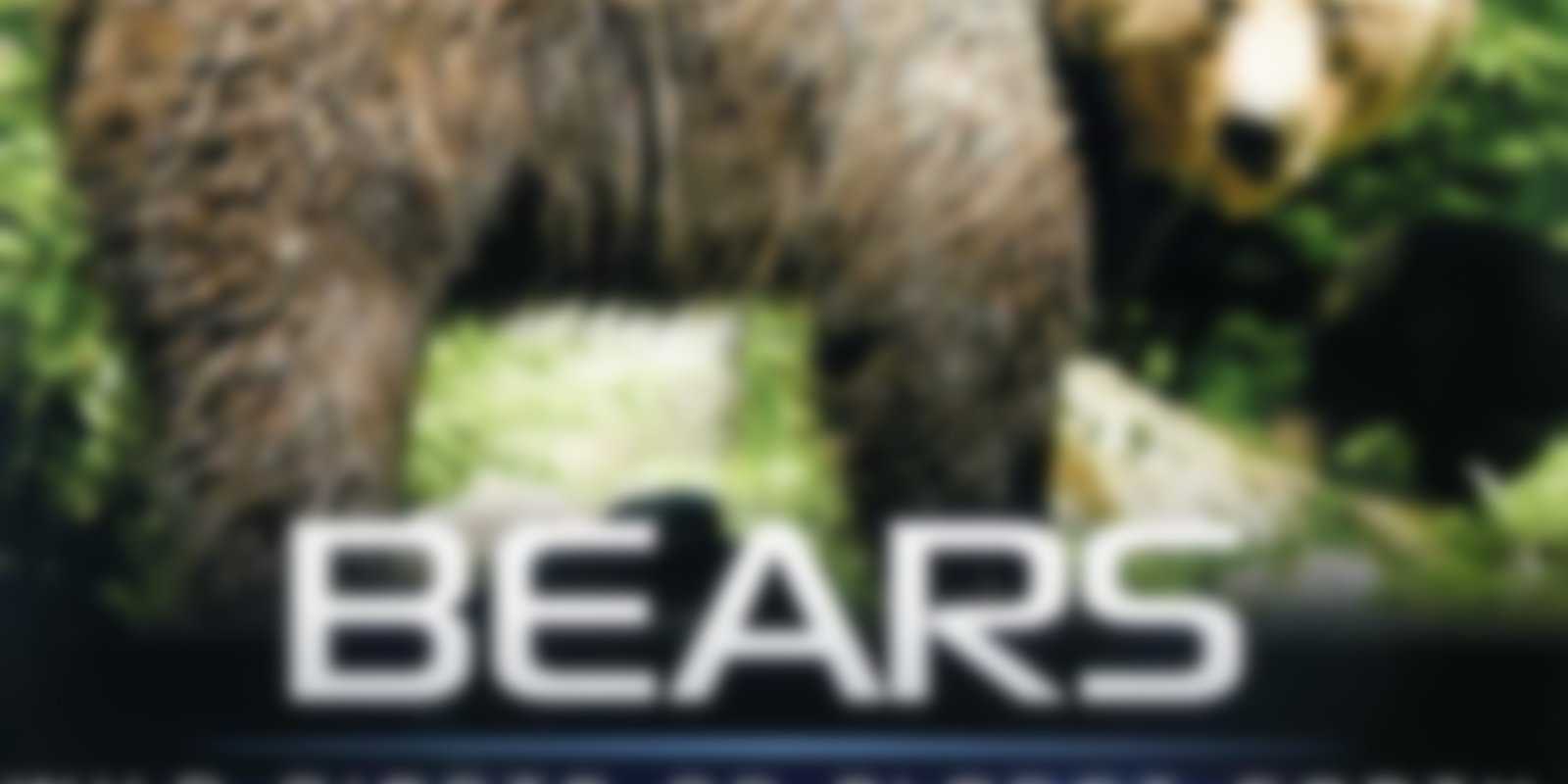 IMAX - Bears