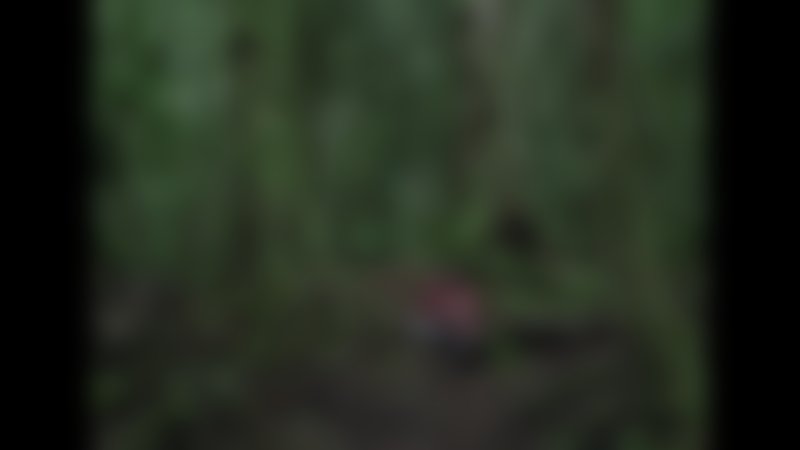 Was will der Lama mit dem Gewehr? - Trailer - Deutsch - SD