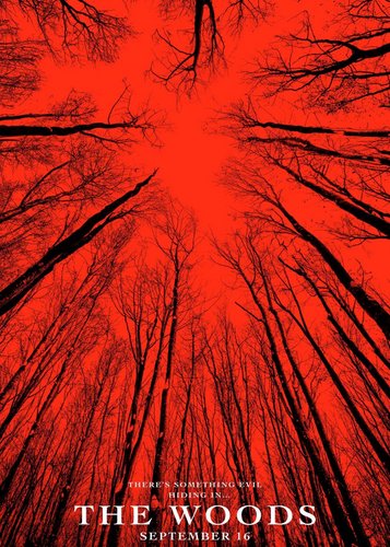 Blair Witch - Poster 5