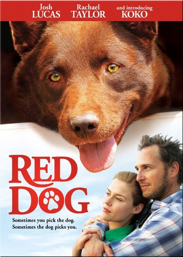 Red Dog - Ein Held auf vier Pfoten - Poster 3
