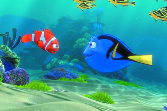 Findet Nemo - Szenenbild 6