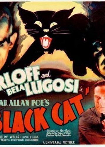 Die schwarze Katze - Poster 12