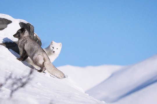 Die Abenteuer von Kina & Yuk - Szenenbild 9