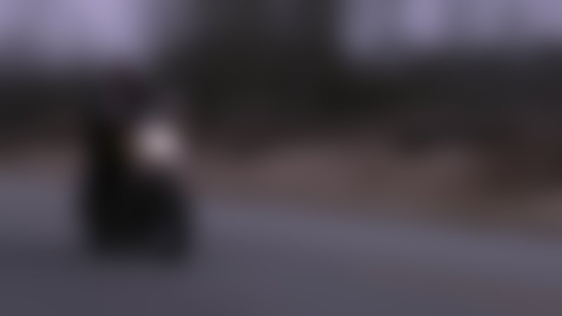 The Package - Trailer - Englisch - SD