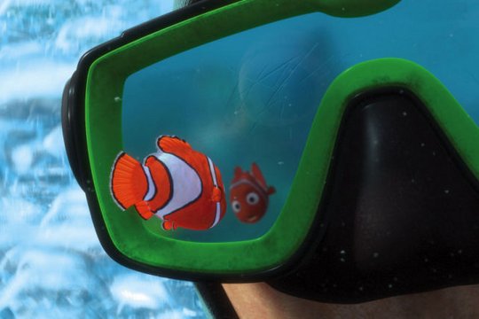 Findet Nemo - Szenenbild 27