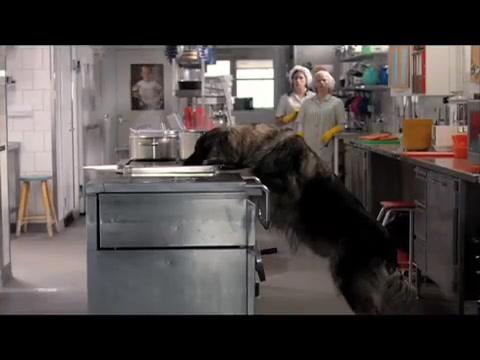 Kleine Hände, große Pfoten - Trailer - Finnisch - SD