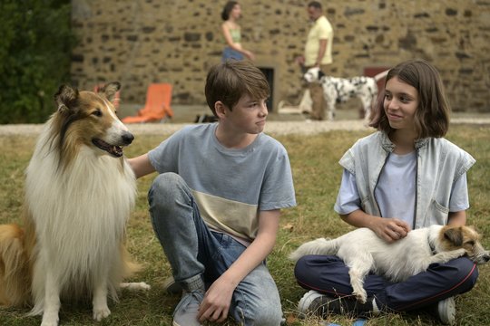 Lassie 2 - Ein neues Abenteuer - Szenenbild 40