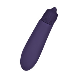 Aubergine-Minivibrator, 12 cm