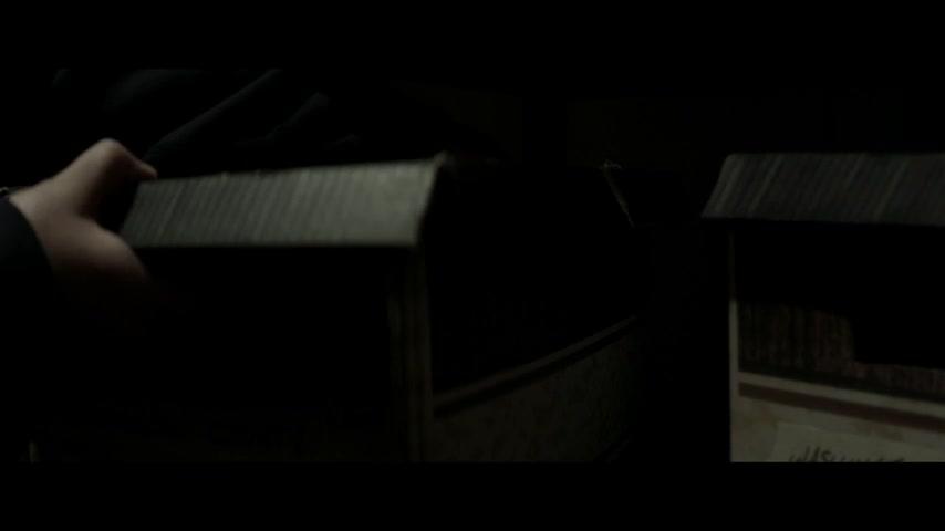 Sleeping Dogs - Trailer - Englisch - SD
