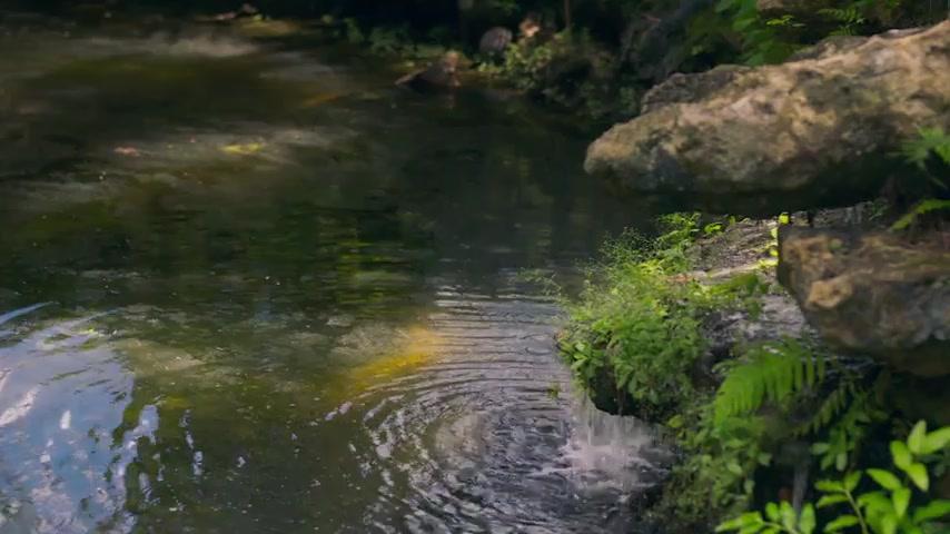 The Love Gala - Im Garten der Liebe - Teaser - Englisch - SD