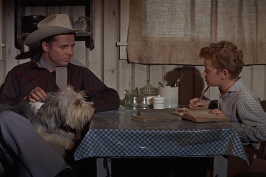 Der weiße Teufel von Arkansas - Szenenbild 1