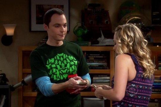 The Big Bang Theory - Staffel 2 - Szenenbild 13